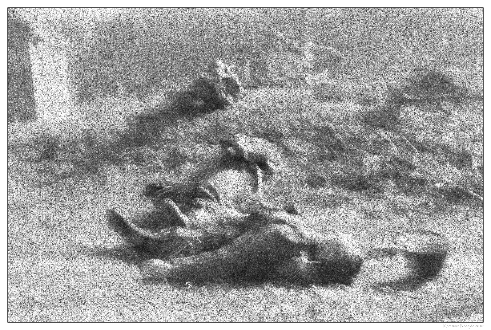 Photograther Khramova Nadezda. Reconstruction WWII. Untitled