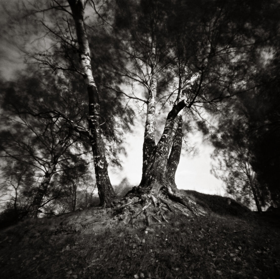 Photograther Khramova Nadezda. Pinhole Dreams. Untitled