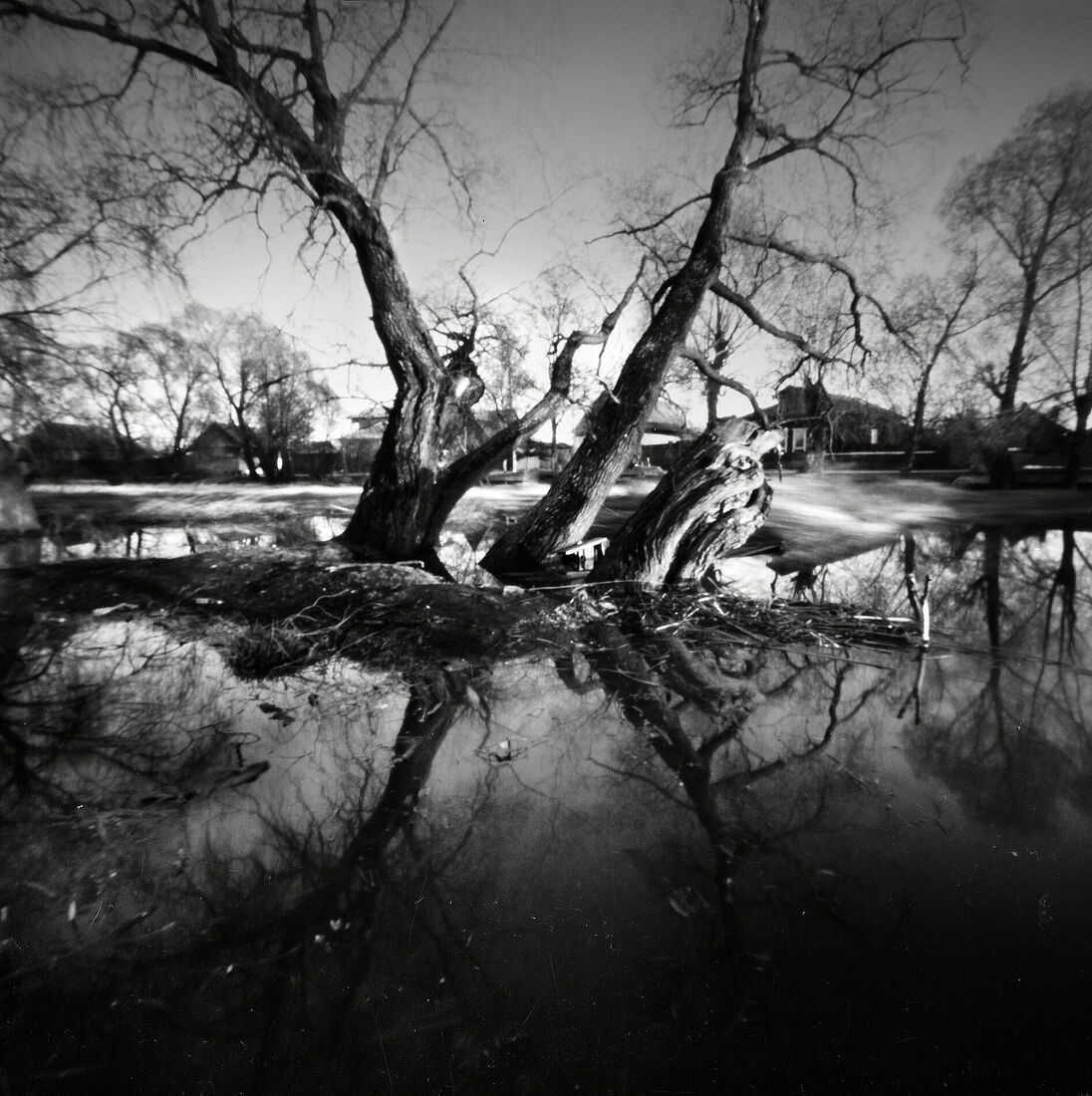 Photograther Khramova Nadezda. Pinhole Dreams. Untitled IslBG