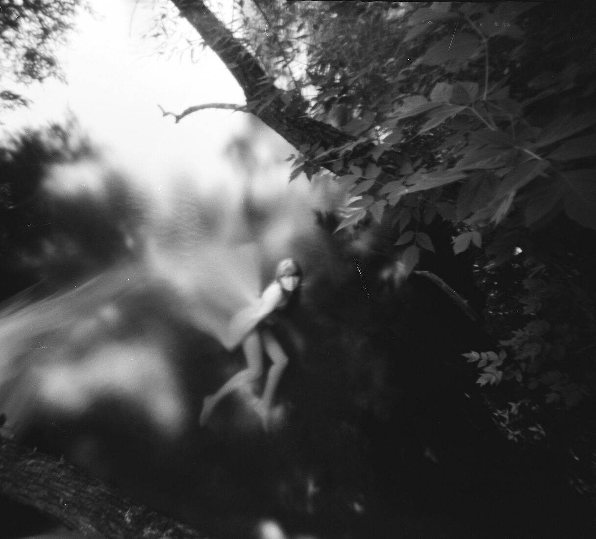 Photograther Khramova Nadezda. Pinhole Dreams. Untitled IslBG