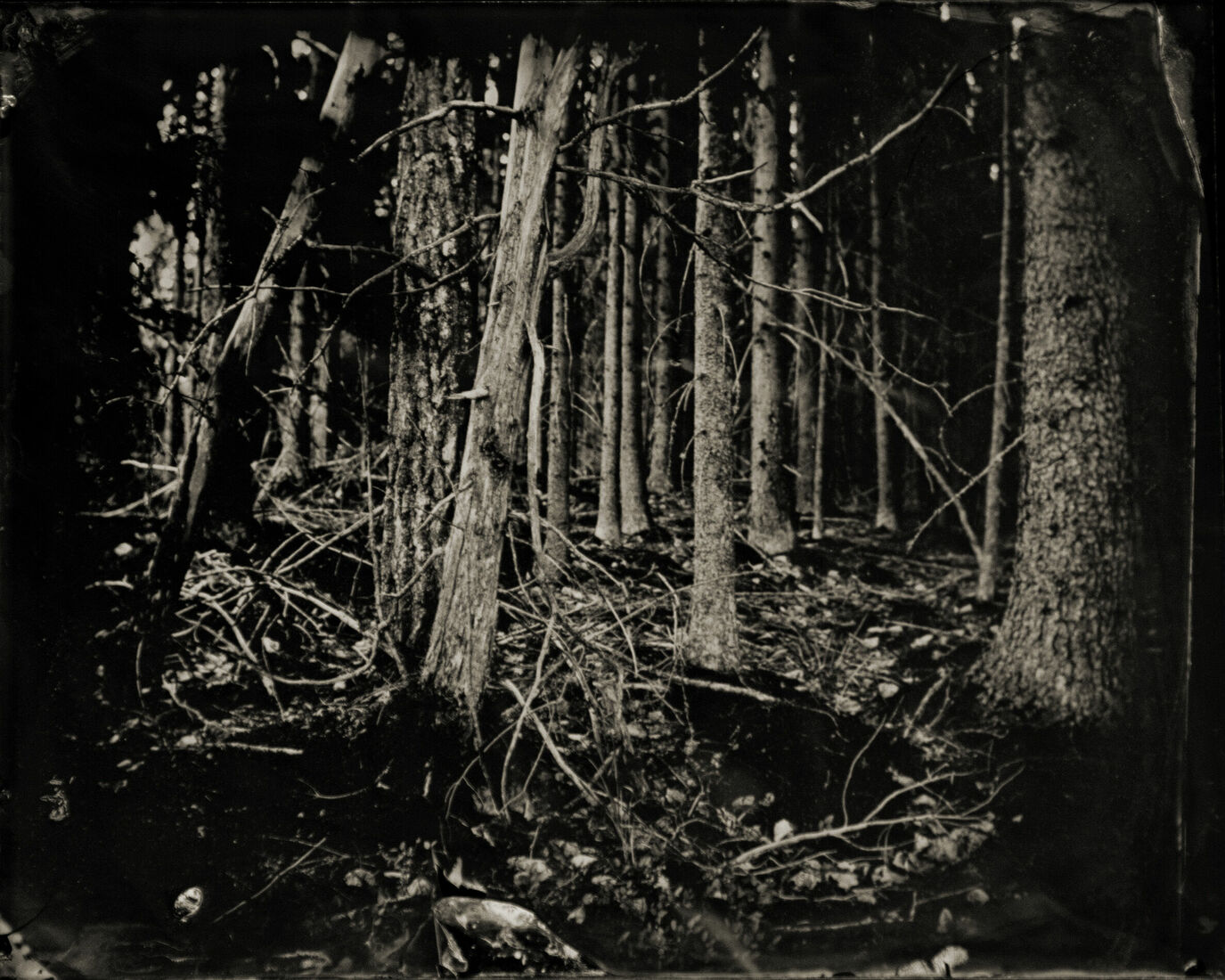 Photograther Khramova Nadezda. Druid treasures. Untitled