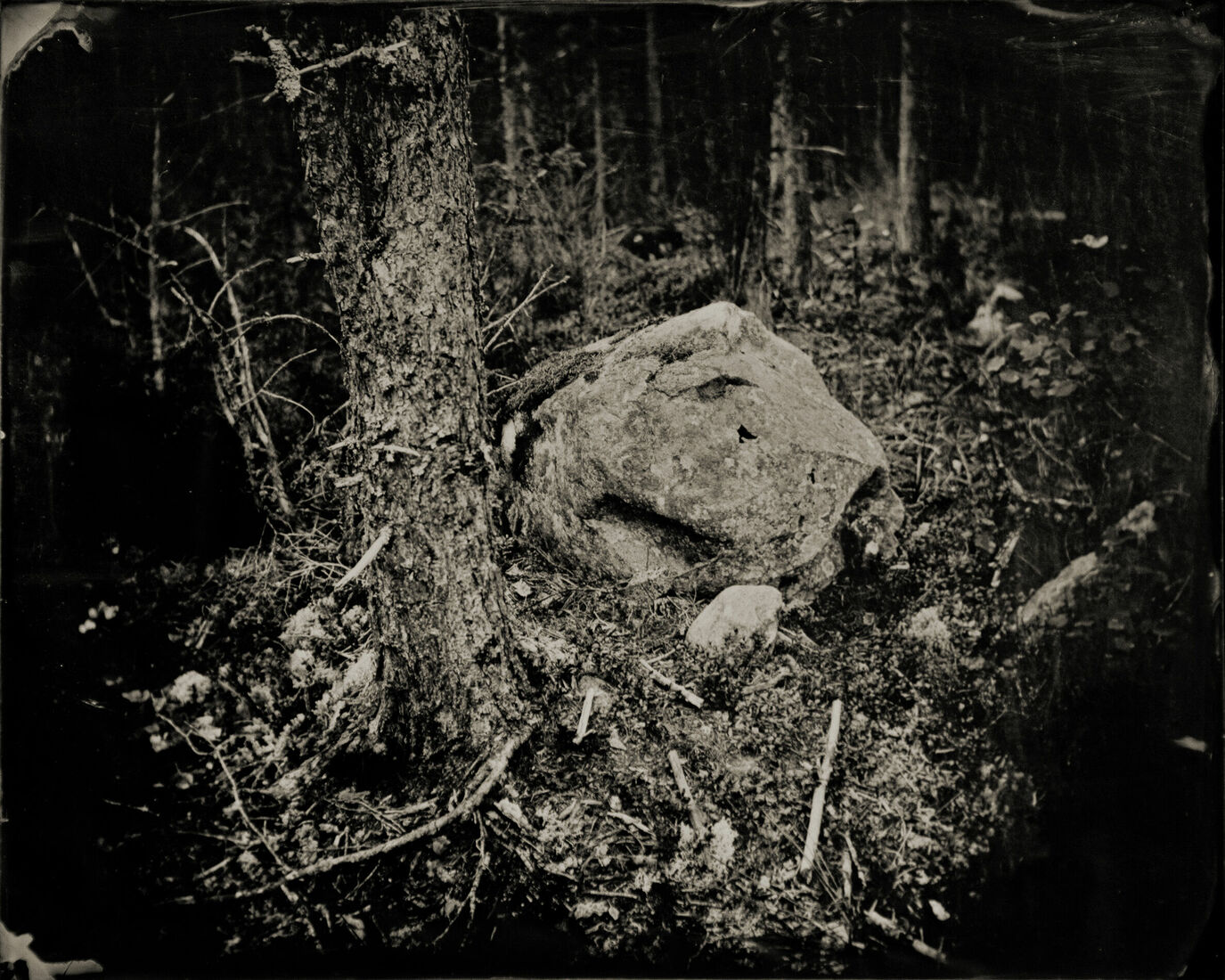 Photograther Khramova Nadezda. Druid treasures. Untitled