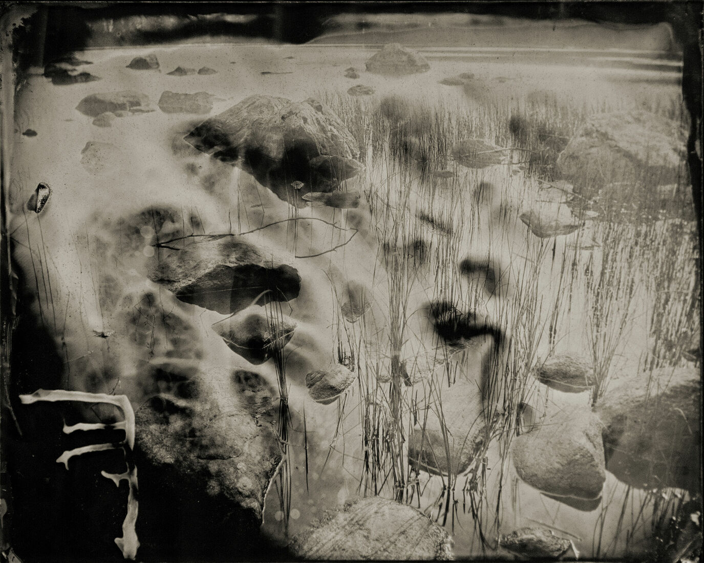 Photograther Khramova Nadezda. Druid treasures. Untitled