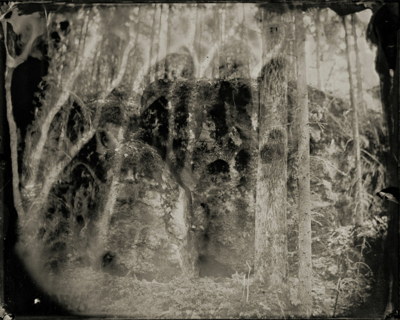 Photograther Khramova Nadezda. Druid treasures. Untitled