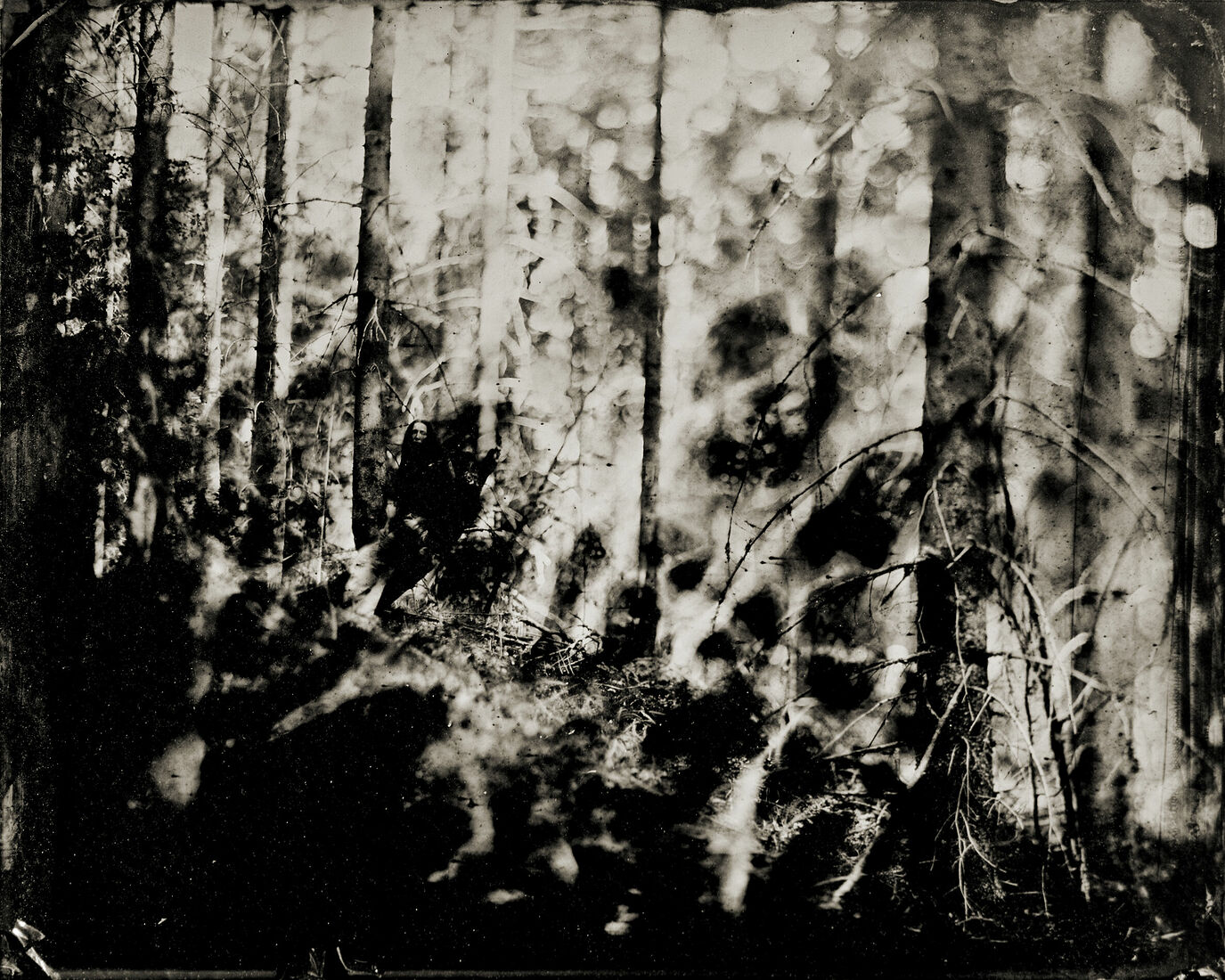 Photograther Khramova Nadezda. Druid treasures. Untitled